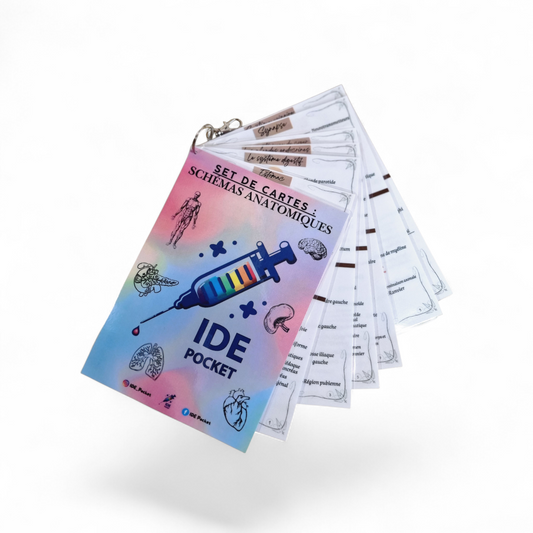 Schémas anatomiques annotés