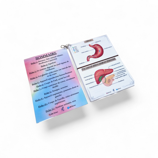 Schémas anatomiques annotés