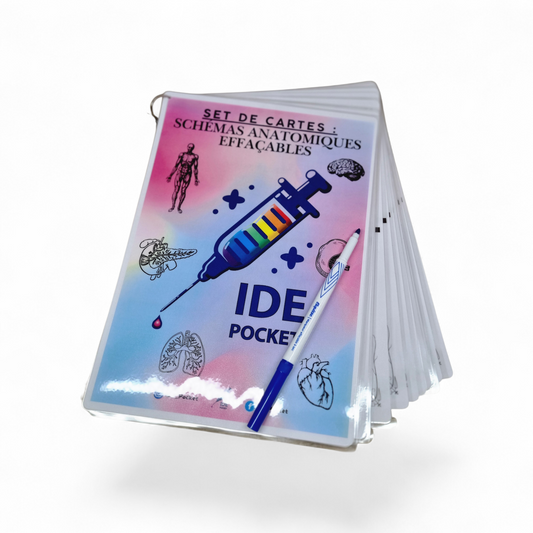 Cartes d’anatomie A4 réutilisables