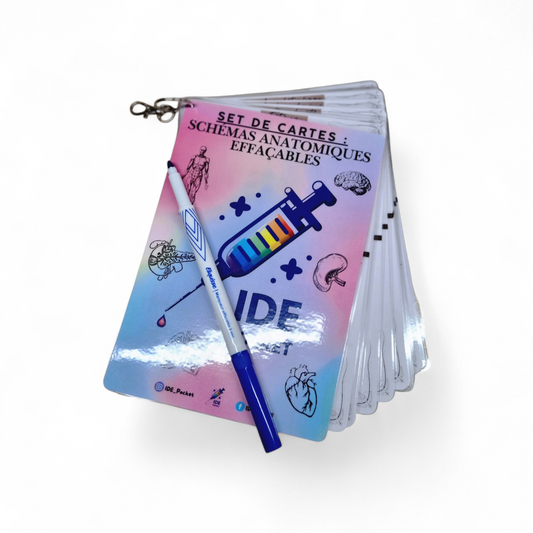 Cartes d’anatomie A5 réutilisables