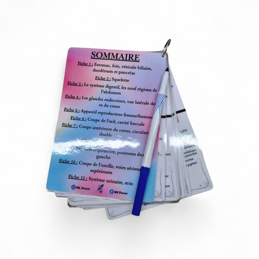 Cartes d’anatomie A5 réutilisables