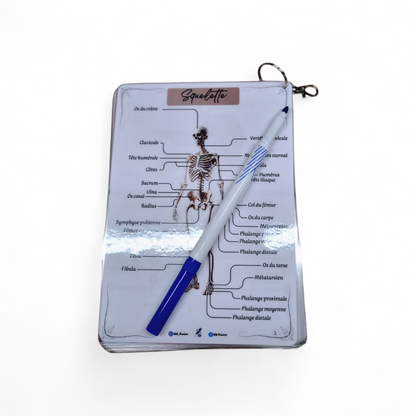Cartes d’anatomie A5 réutilisables