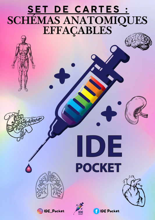 Cartes d’anatomie - Schémas muets