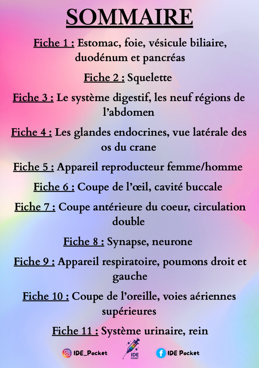 Cartes d’anatomie - Schémas muets