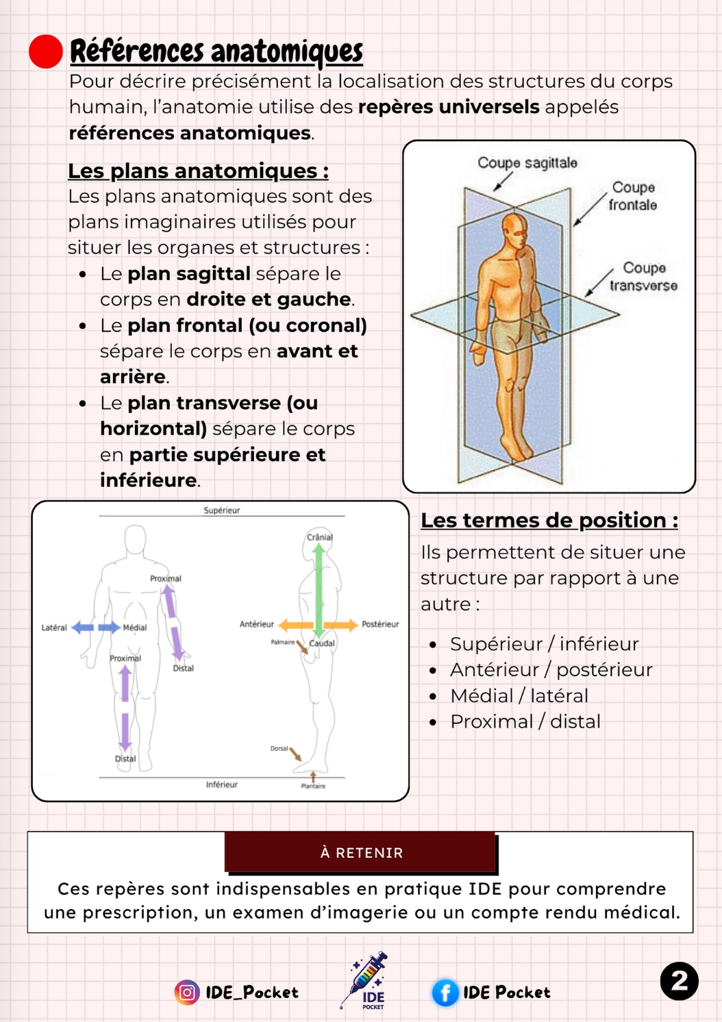 UE 2.1 – S1 - Biologie fondamentale