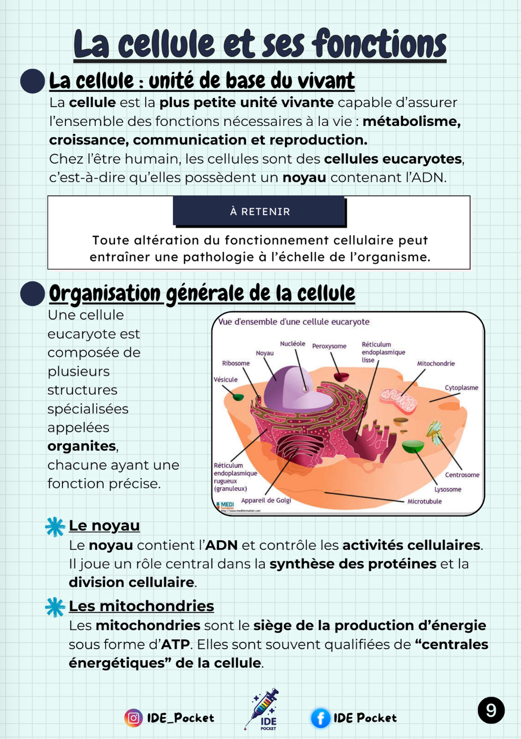 UE 2.1 – S1 - Biologie fondamentale