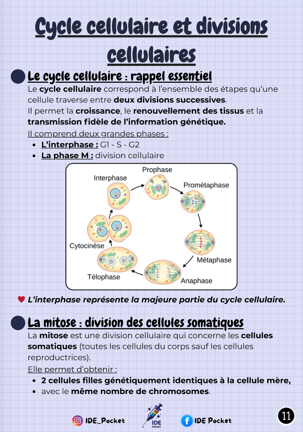 UE 2.1 – S1 - Biologie fondamentale