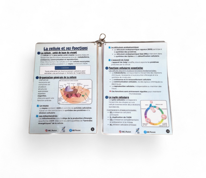 UE 2.1 – Semestre 1 Biologie fondamentale