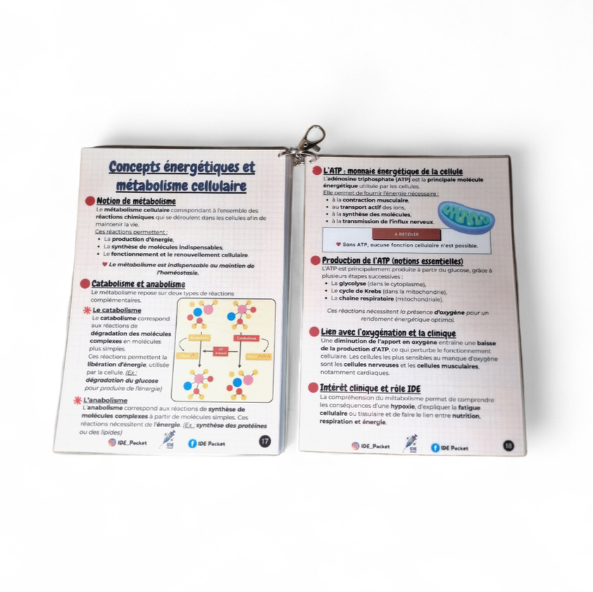 UE 2.1 – Semestre 1 Biologie fondamentale