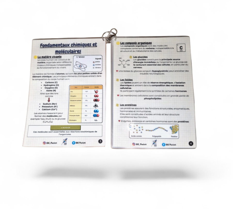 UE 2.1 – Semestre 1 Biologie fondamentale