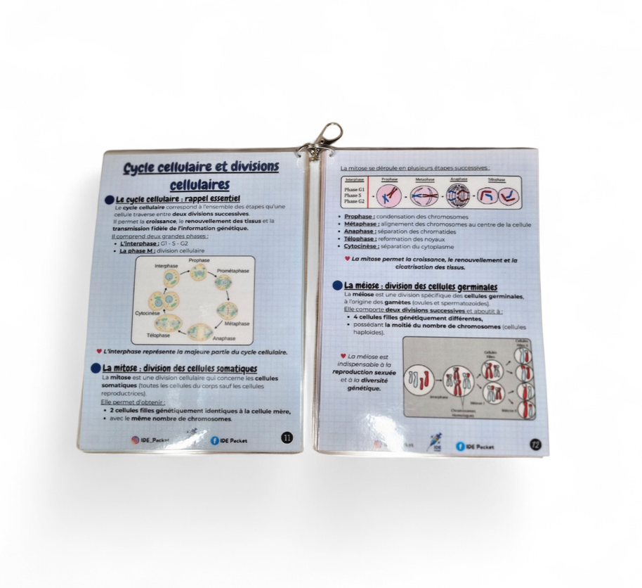 UE 2.1 – Semestre 1 Biologie fondamentale