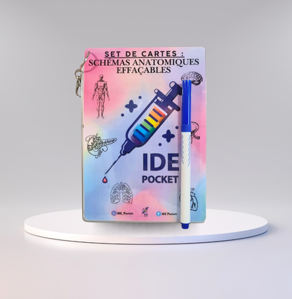 Cartes d’anatomie A5 réutilisables