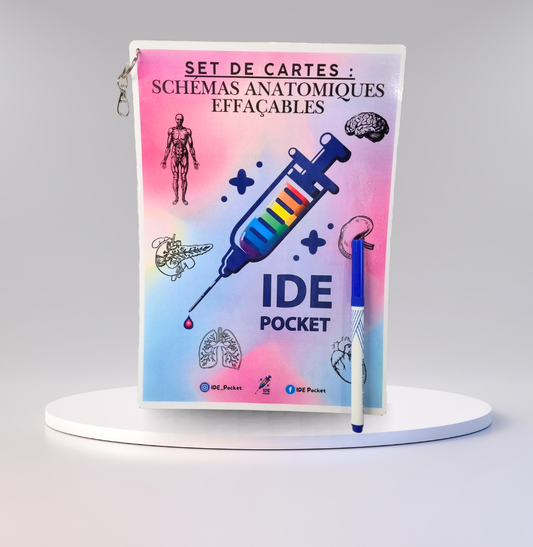 Cartes d’anatomie A4 réutilisables