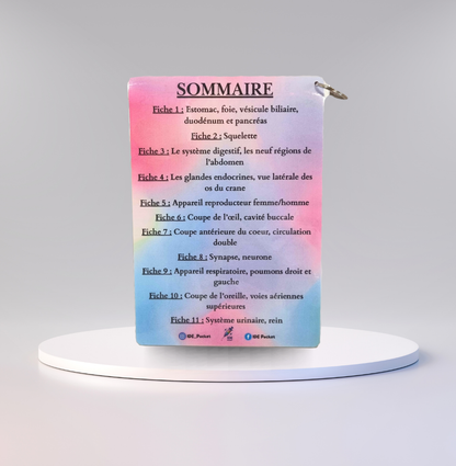 Cartes d’anatomie A5 réutilisables